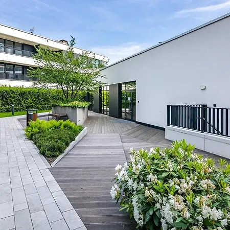 Portova - Billberry *